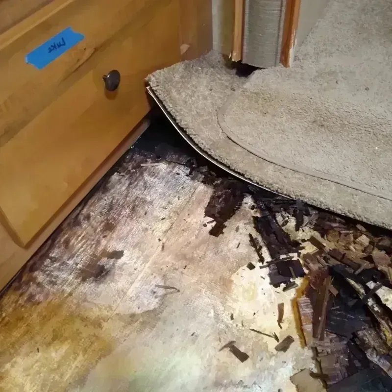 Wood Floor Water Damage in New London, WI